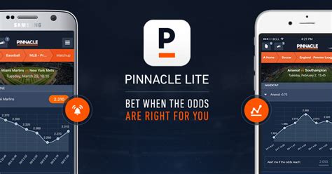 Download Pinnacle Lite.